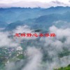 怎样静心不浮躁(06/19更新)