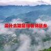 买什么能显得衣锦还乡(06/22更新)
