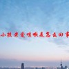 小孩老爱咳嗽是怎么回事