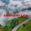 生如夏花表达什么意思(06/20更新)