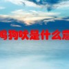 鸡鸣狗吠是什么意思(07/02更新)