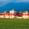 18岁儿子要去做道士是怎么回事
