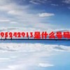 95242913是什么号码(07/06更新)