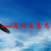 swot是什么意思(06/27更新)