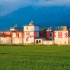 铂金为什么跌了涨不回来