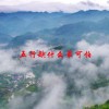 五行缺什么最可怕(06/22更新)