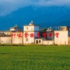 什么食物养肾护肾(06/18更新)