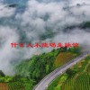 什么人不能喝生脉饮(06/20更新)