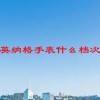英纳格手表什么档次(07/02更新)