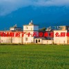 月经推迟了十天没来怎么回事