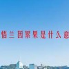 别悟兰因絮果是什么意思