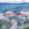 一个王一个贞读什么(06/18更新)