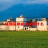陆庭琛夏暖小说叫什么(06/20更新)