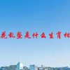 天花乱坠是什么生肖相近