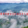 红楼梦中的金玉良缘是什么意思