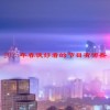 2025年春晚好看的节目有哪些