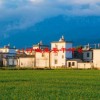 it行业主要干什么(06/19更新)