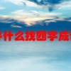 什么寻什么找四字成语全部