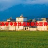 当代文学中女性成长的力量有哪些