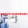 生地榆的功效与作用及禁忌是什么