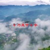 礻乃是什么字(06/20更新)