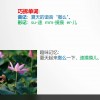 summer英文怎么读(06/29更新)