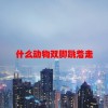 什么动物双脚跳着走(06/18更新)