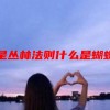 什么是丛林法则什么是蝴蝶效应