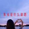 本末是什么意思(07/06更新)