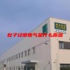 肚子经常胀气是什么原因