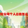 保险公司个人总结怎么写