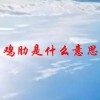 鸡肋是什么意思(06/28更新)