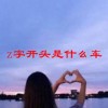 z字开头是什么车(07/04更新)