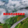 陈朵为什么杀死老廖(06/21更新)