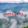 8000年历史看哪里(06/23更新)