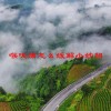 喉咙痛怎么缓解小妙招(06/20更新)