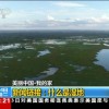 什么叫湿地(07/05更新)