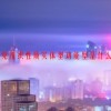 党组织性质实体型功能型是什么
