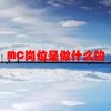 MC岗位是做什么的(06/29更新)