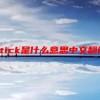 stick是什么意思中文翻译