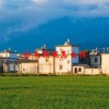 论文投稿怎么投(06/19更新)