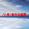 11月1号什么星座(07/04更新)