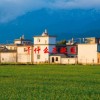 干什么不贬值(06/20更新)