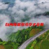 白内障是多少岁才会有(06/23更新)