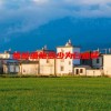 嗜酸细胞多少为白血病(06/19更新)