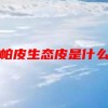 纳帕皮生态皮是什么皮(06/30更新)