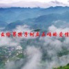 怎么给男孩子树立正确的爱情观