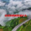 薛宝钗的雅号是什么(06/18更新)